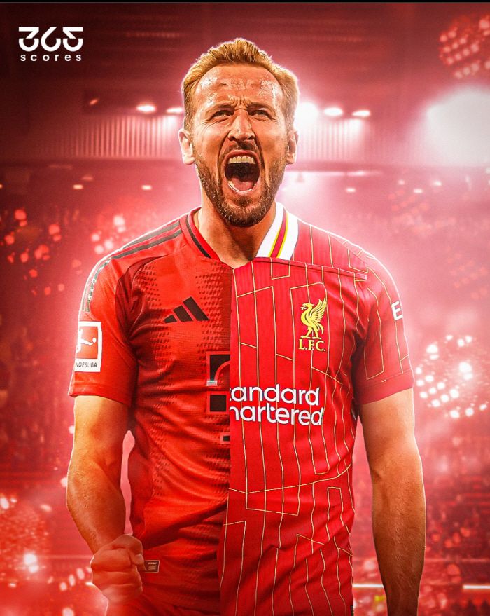 사진=365스코어스