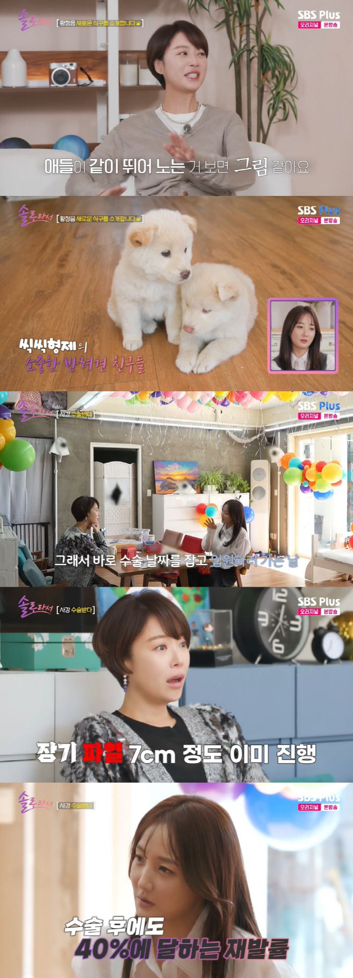 스포츠조선