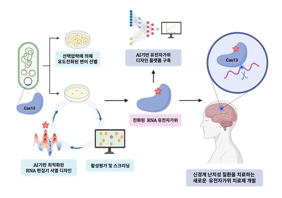 유도진화 활용 차세대 RNA 유전자 편집 기술 개발 모식도