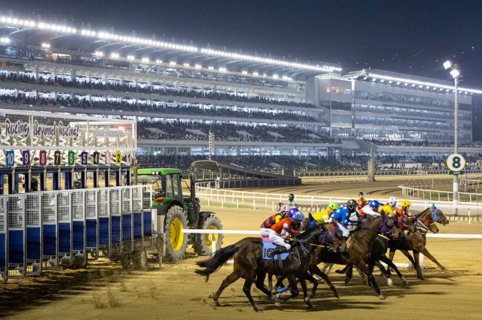 ◇사진제공=한국마사회