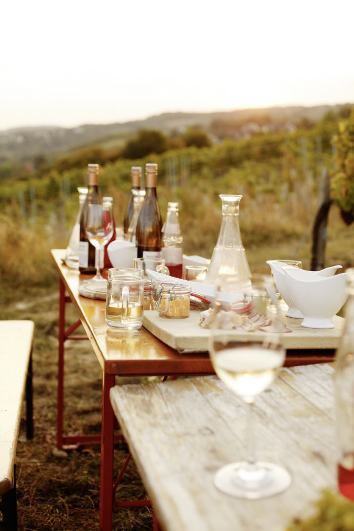 ◇비엔나의 호이리거 비닝거 암 누스베르크. 사진제공=비엔나 관광청