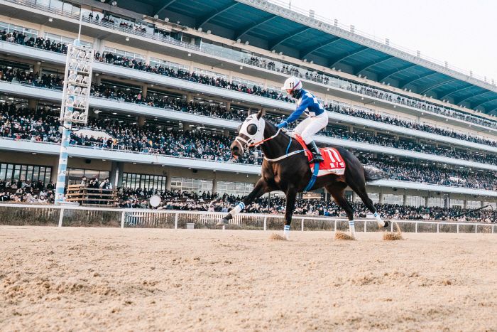 ◇사진제공=한국마사회