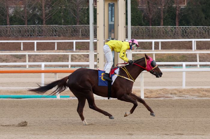 ◇사진제공=한국마사회