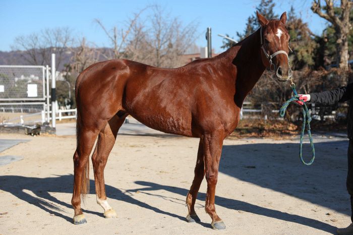 ◇사진제공=한국마사회