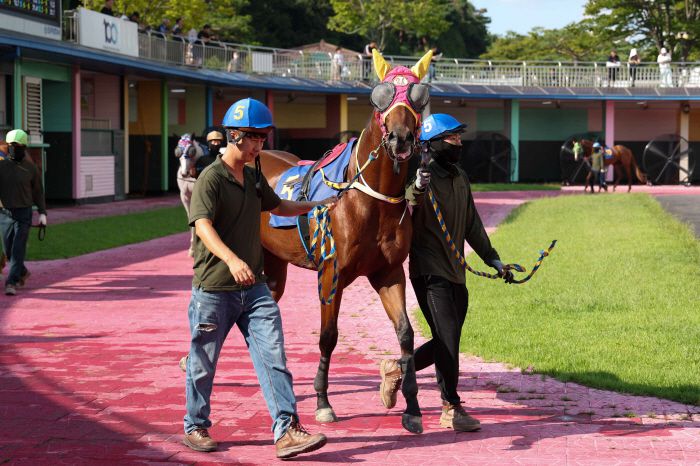 ◇사진제공=한국마사회