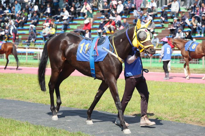 용암세상. 한국마사회 제공