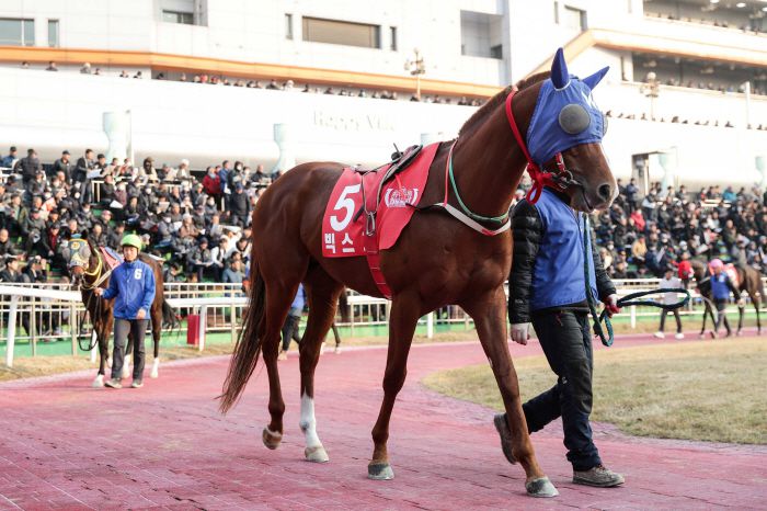 빅스고. 한국마사회 제공