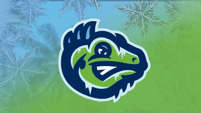 ◇사진출처=팜비치 카디널스 홈페이지