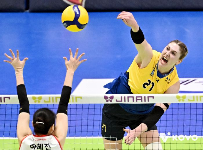 현대건설 카리.