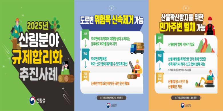 산림청이 발표한 2025년 산림분야 규제합리화 추진 사례 인포그래픽 [사진=서부지방산림청]