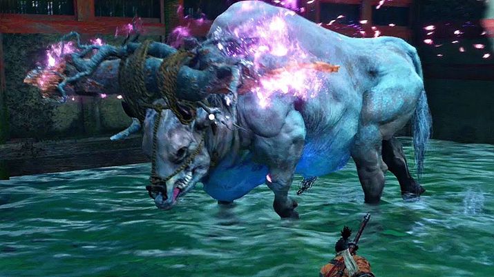 ▲ 설마 저 벚꽃이 예쁘다며 구경하다 유다희 하는 사람은 없겠지? (사진출처: 세키로 섀도우 다이 트와이스 위키)