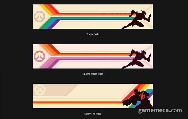 ▲ 네임카드 일부 (사진출처: 오버워치 2 공식 홈페이지)