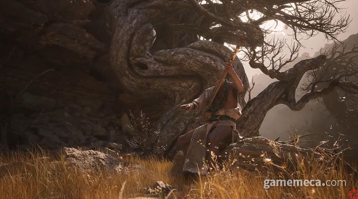 ▲ 공개된 영상 주요 장면 일부 (사진출처: 검은 신화: 오공 월드 프리미어 트레일러 영상 갈무리)