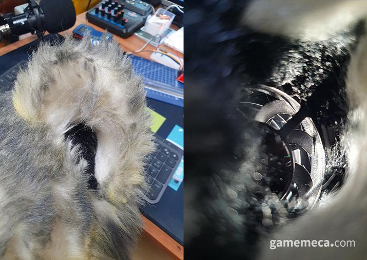 ▲ 펀즈이누 님은 "오는 지스타에서도 퍼슈터들과 많은 분들이 즐거운 교류를 나눌 수 있기를 바란다"고 밝혔다 (사진제공: 펀즈이누)