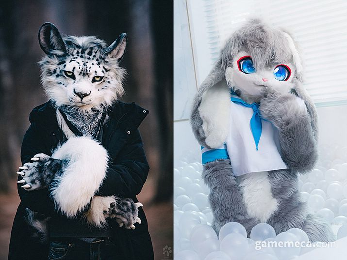 ▲ 수상하고 돈이 많은 게 아니라 열심히 취미활동을 즐길 뿐입니다 (사진출처: 원작자 Kastry 공식 X)