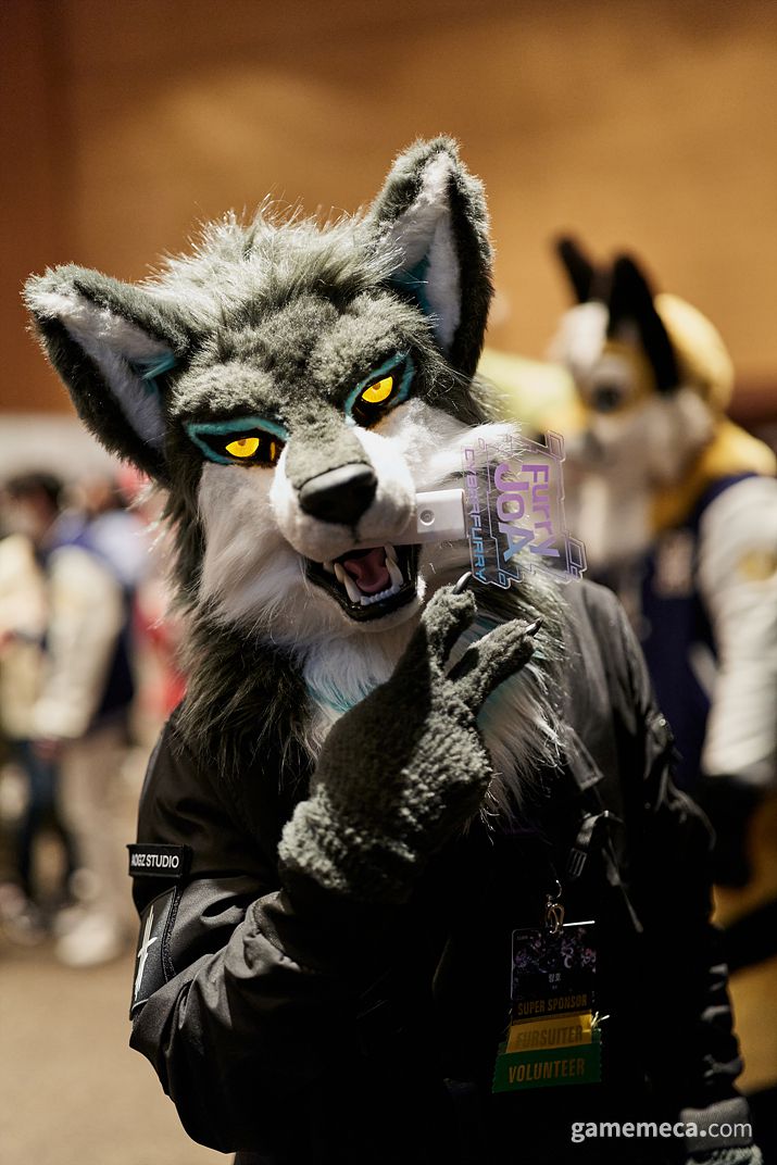 ▲ 퍼덱스는 펀즈이누 님이 편리한 교류를 위해 직접 만든 사이트다 (사진출처: 퍼덱스 공식 홈페이지)