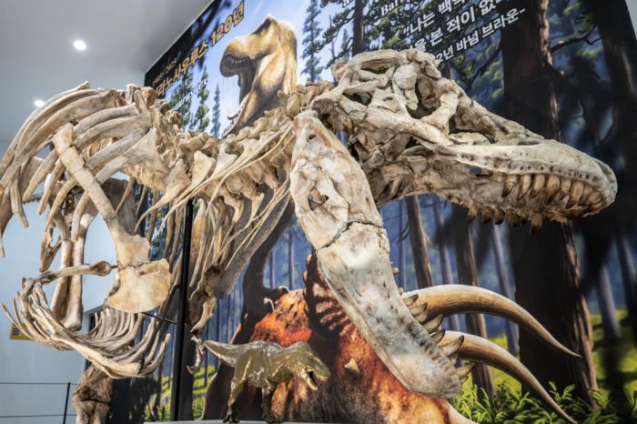 타르보사우루스 전신 골격 복제 표본. [사진=한국지질자원연구원]