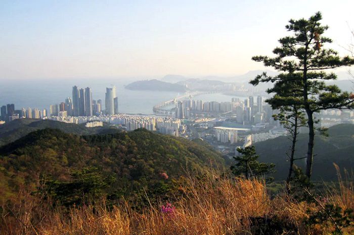 장산. <제공 = 부산시>