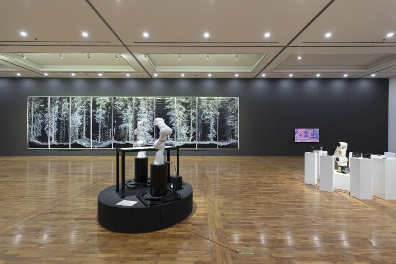 대전비엔날레 제2전시실 전경 (팀보이드, 콰욜라)