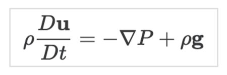 유체역학에서의 오일러 방정식. 넘어가자.