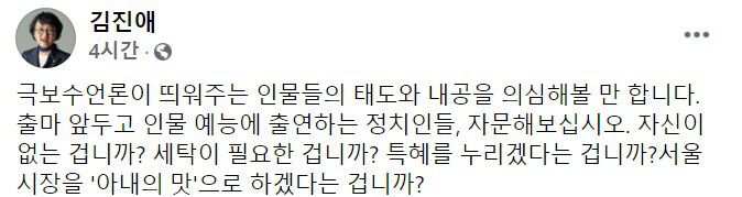 김진애 열린민주당 의원 페이스북