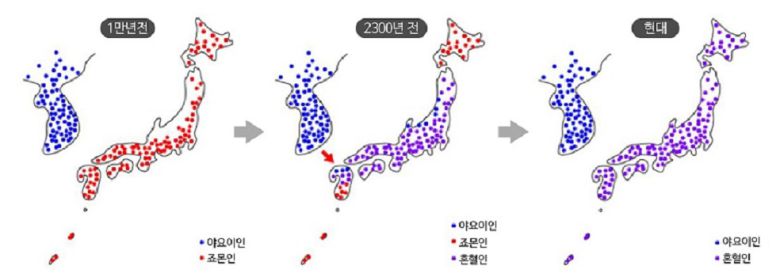 현대 일본인의 원형은 야요이 도래인(渡來人)과 죠몬이 섞인 혼혈이라는 게 정설이다.