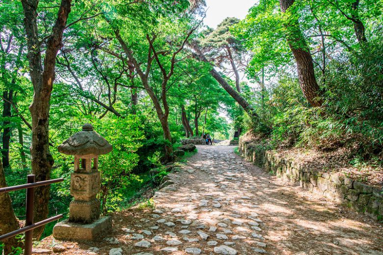 계룡산. <제공 = 스카이스캐너>