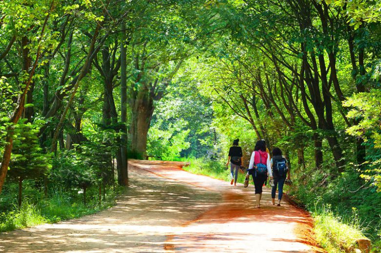 계족산. <제공 = 한국관광공사>
