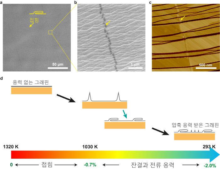 그래핀에 접힘이 발생하는 메커니즘 [사진 제공 = IBS]