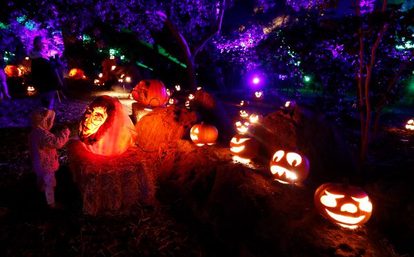 [사진 출처 = 연합뉴스]