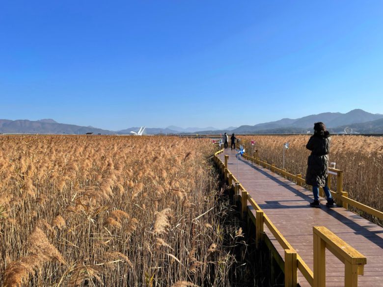 강진만생태공원의 늦가을 풍경.