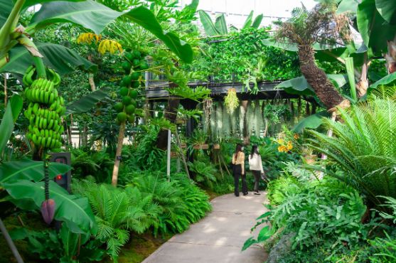 국립세종수목원. <출처 = 세종시>