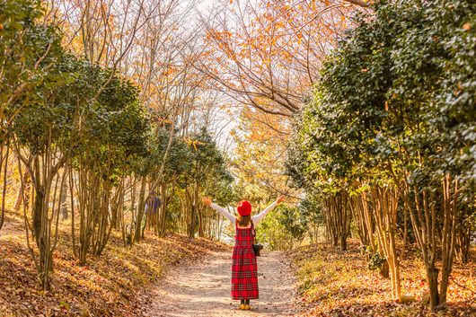 염포산 정상.  /사진= 한국관광공사