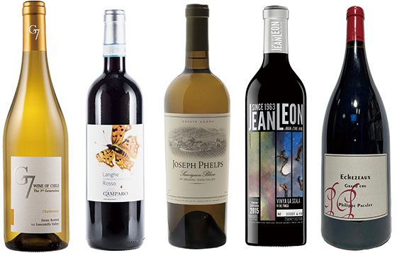 G7 라세르바 샤르도네,  캄파로 랑게 로소,  조셉 펠프스 나파 밸리 소비뇽 블랑, 장 레옹 그랑 레세르바 비냐 라 스칼라, 에세조 그랑 크뤼 도멘 필립 파칼레