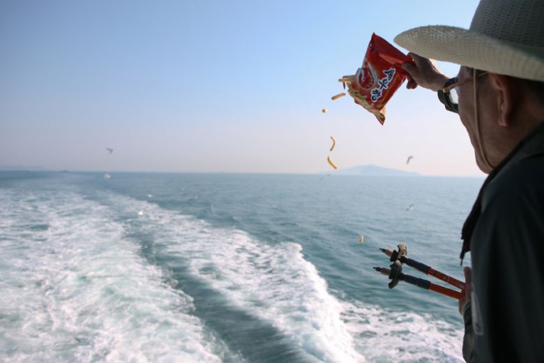 전남 완도군 청산항 / 사진 = 한국관광공사