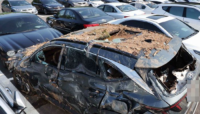 12일 경기 과천시 서울대공원 주차장에 침수 차량이 집결해 있다. 2022.8.12 [한주형 기자]