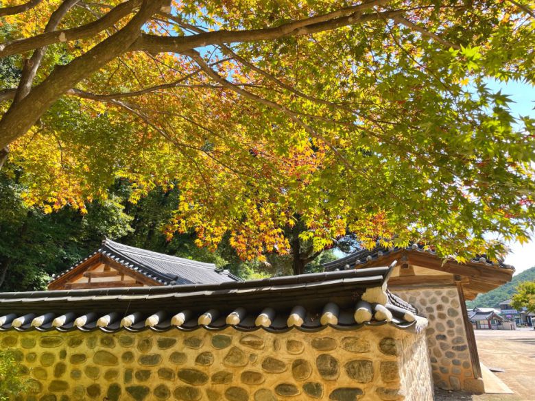 장릉 풍경.  /사진= 강예신 여행+ 기자