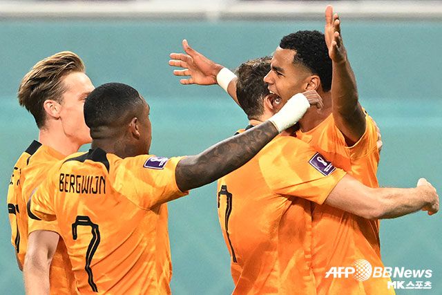 네덜란드와 에콰도르가 무승부를 거두고 A조 공동 선두에 올랐다. 사진=DOHA, QATAR ⓒAFPBBNews = News1