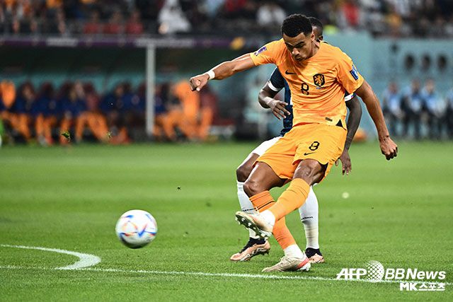 네덜란드와 에콰도르가 무승부를 거두고 A조 공동 선두에 올랐다. 사진=DOHA, QATAR ⓒAFPBBNews = News1