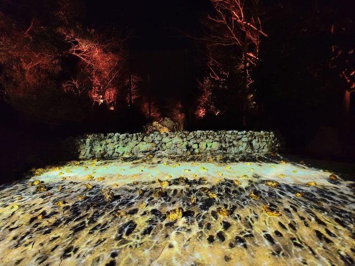 생생한 미디어 아트를 볼 수 있다.