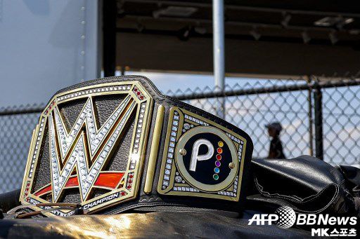 WWE가 새로운 주인을 만난다. 사진=ⓒAFPBBNews = News1