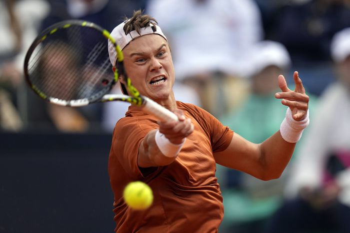 덴마크 신예 홀게르 루네. AP연합뉴스