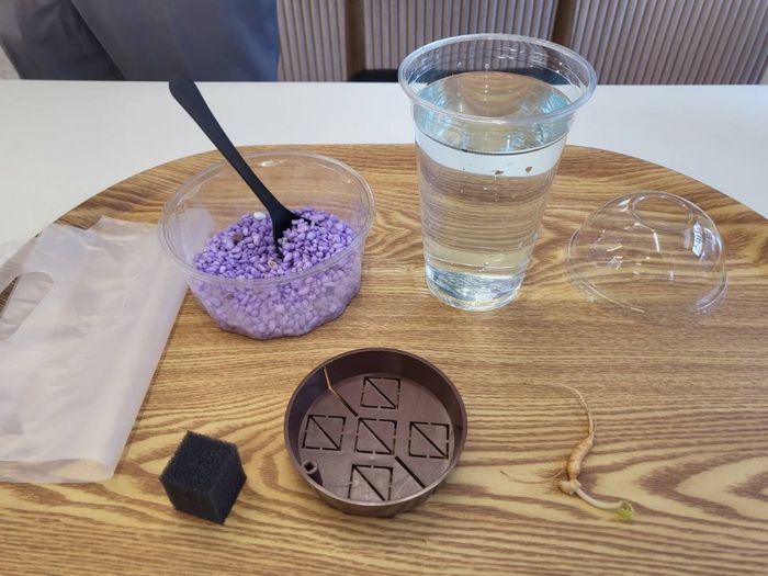 수경재배화분 만들기/사진=강찬미 여행+기자