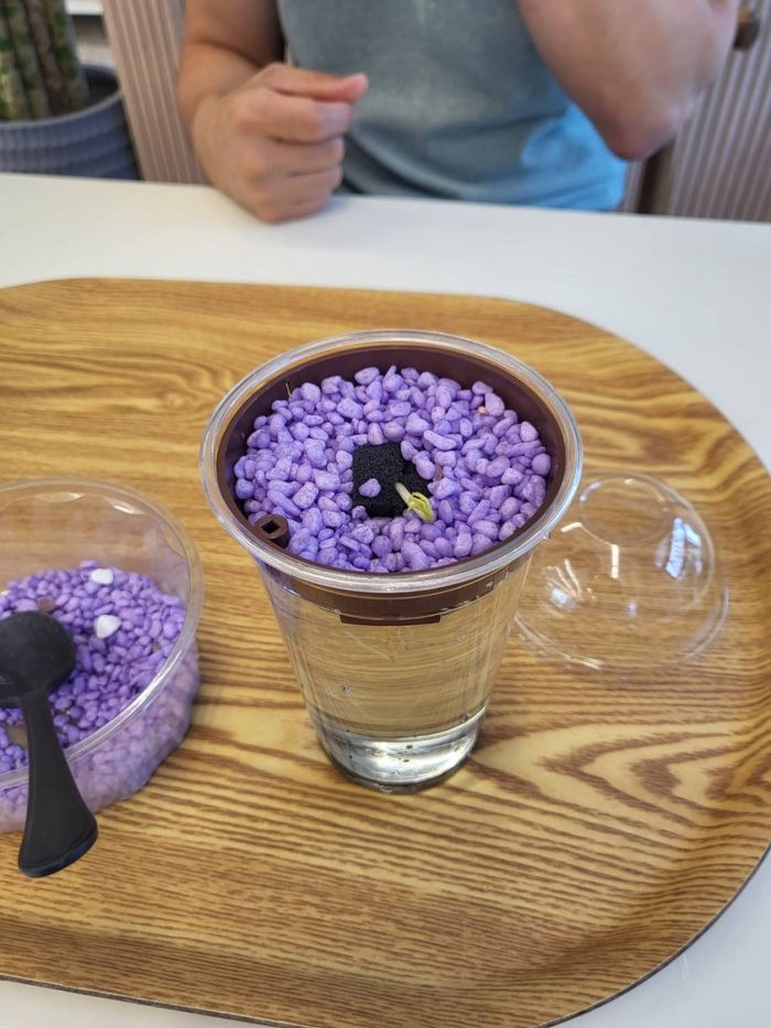 수경재배화분 만들기/사진=강찬미 여행+기자