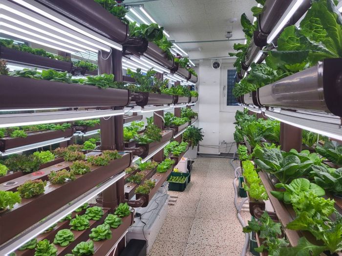 스마트팜 시설 내부/사진=강찬미 여행+기자