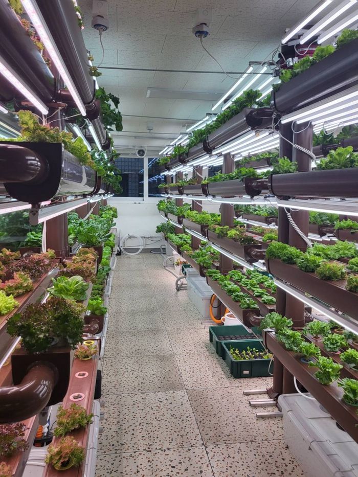 스마트팜 시설 내부/사진=강찬미 여행+기자