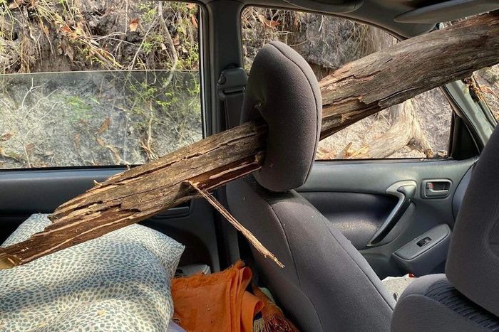 졸업 여행을 떠난 학생들이 탄 차량을 덮친 나무.[사진 제공 = 호주 ABC 방송 캡처]