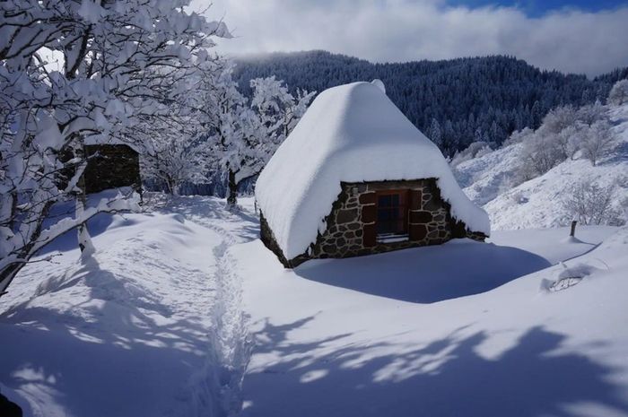 자연으로 둘러싸인 초가지붕의 전원주택 / 사진=에어비앤비