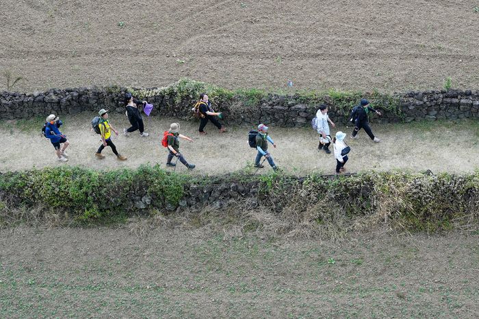 제주올레 완주자 10명 중 9명이 길을 걷고 난 후 건강이 좋아졌다고 답했다. / 사진=사단법인 제주올레