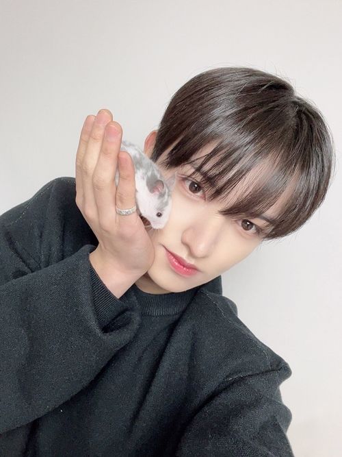 BAE173 빛이 MK스포츠 펫터뷰를 최근 진행했다. 사진=BAE173 빛